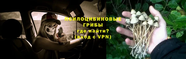 каннабис Баксан