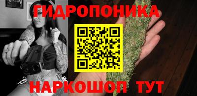 Альфа ПВП Дубна